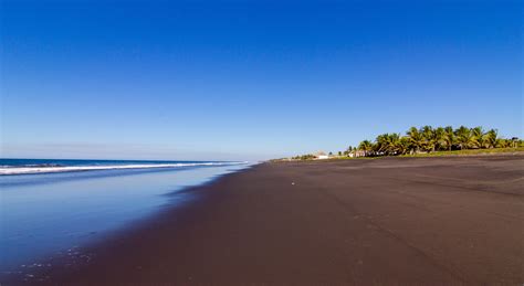 What Can Visitors Expect to See and Do in Monterrico?